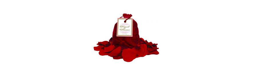 PETALOS DE ROSA